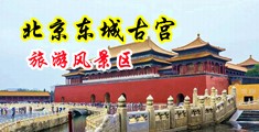 日日日骚逼中国北京-东城古宫旅游风景区
